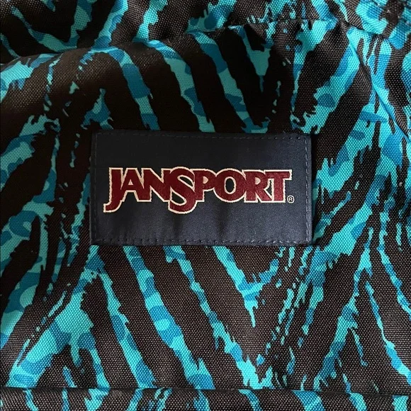 Unisex JanSport light weight Teal and Black Striped Backpack - Picture 4 of 10